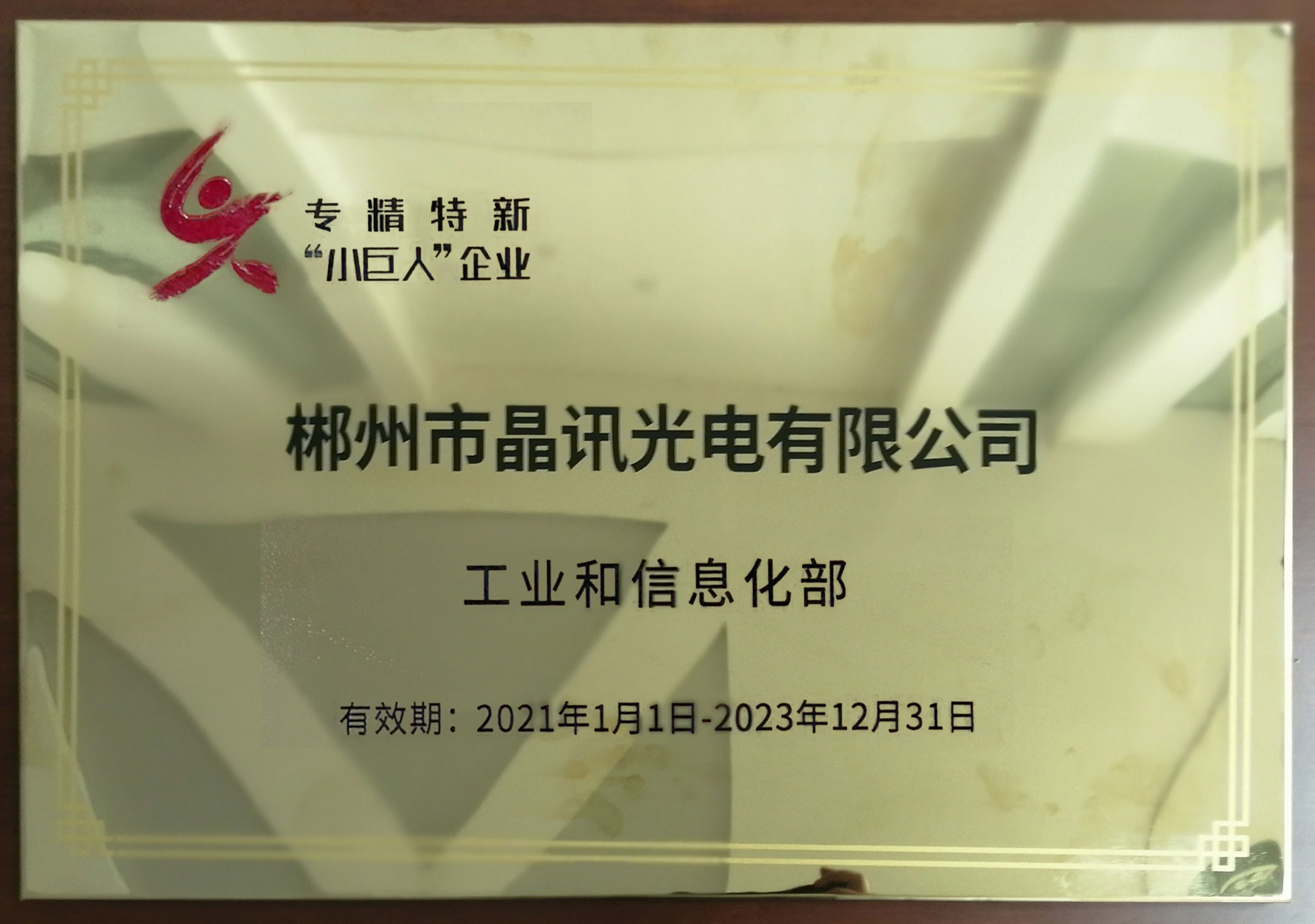 國(guó)家級(jí)專,精,特,新,小巨人企業(yè)